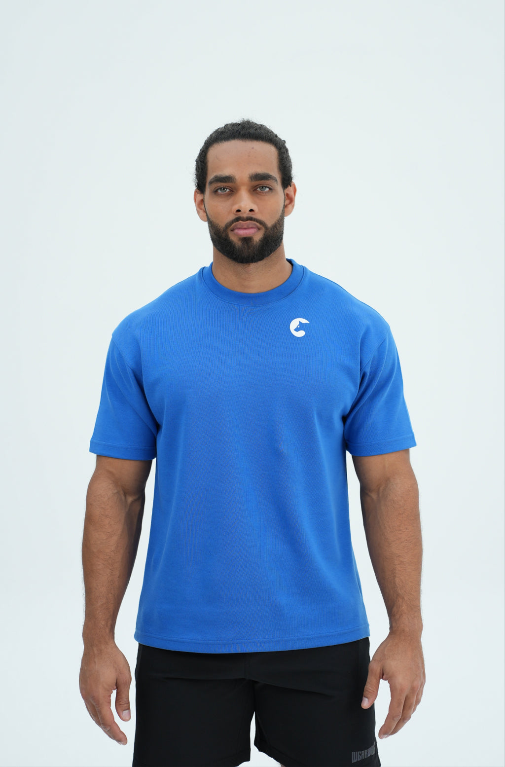 CG Relaxed Fit Tee - Blue